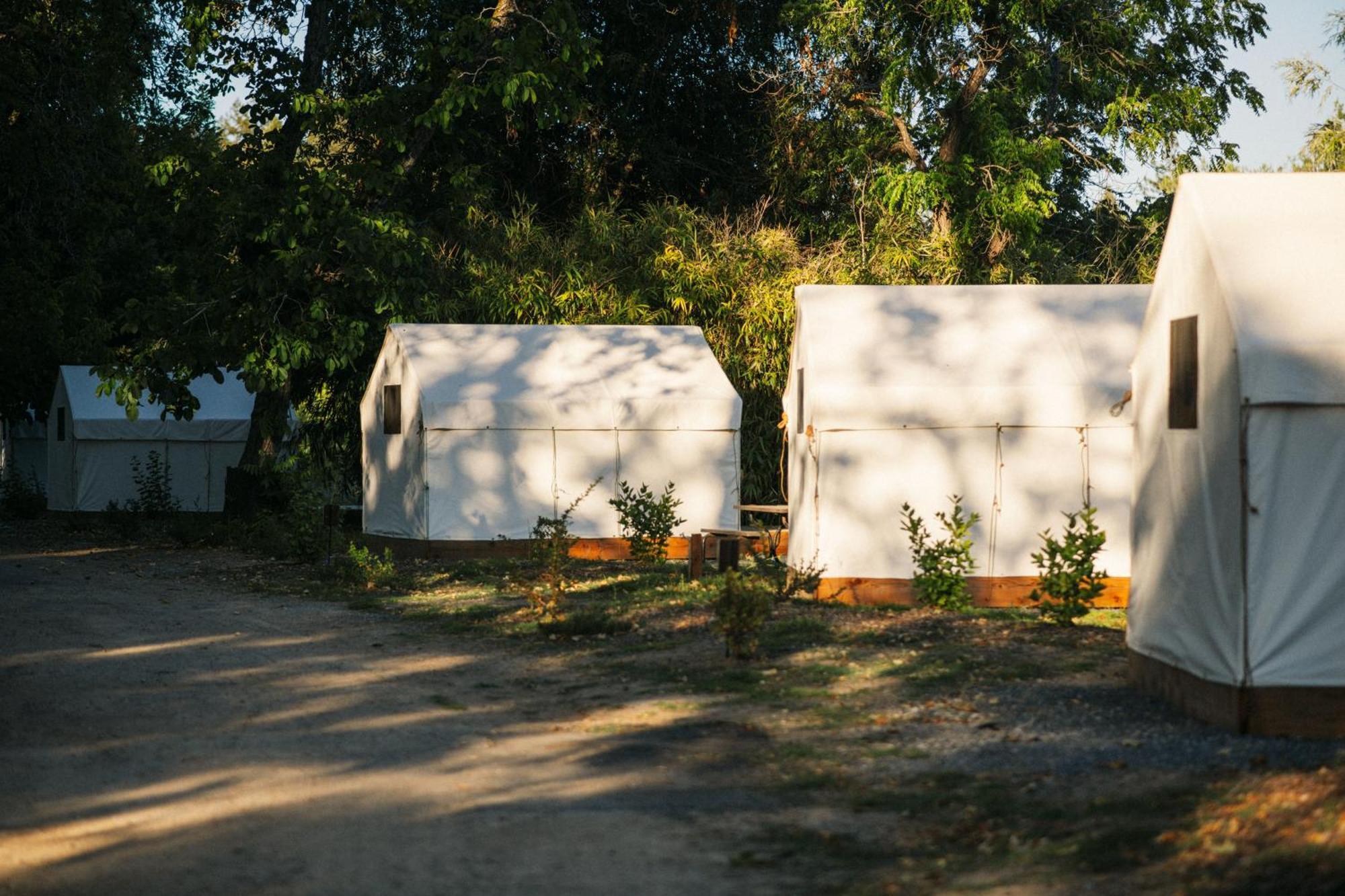 Johnson'S Beach Cabins And Campground جيرنفيل المظهر الخارجي الصورة